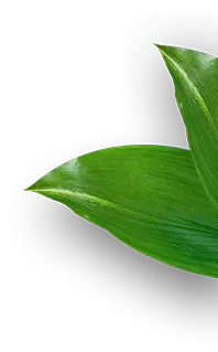 Heim