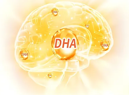 【Brain Health Ingredient Series 5】 Docosahexaenoic Acid (DHA): Das "Neurale Gold" zum Aufbau des Gehirns