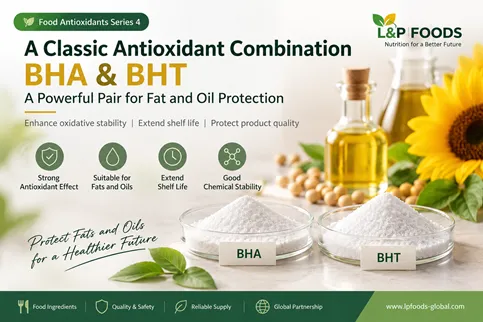 【Food Antioxidants Series 4】  A Classic Antioxidant Combination | BHA & BHT: A Powerful Pair for Fat and Oil Protection