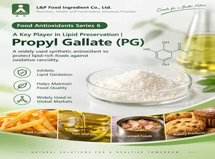 【Food Antioxidants Series 6】  A Key Player in Lipid Preservation | Propyl Gallate (PG)